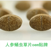 德州健之源：人参蛹虫草片oem