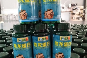 广州康健人生地龙蛋白片贴牌案例_德州健之源
