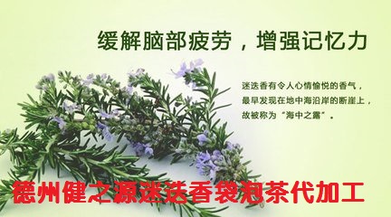 缓解脑部疲劳 预防脱发的好茶--迷迭香茶